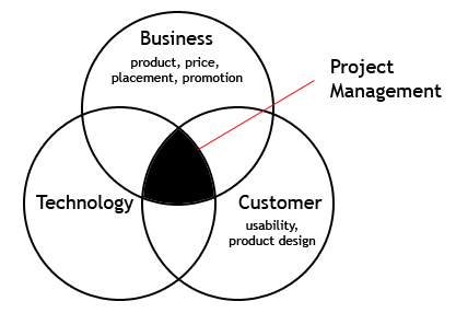 Project management